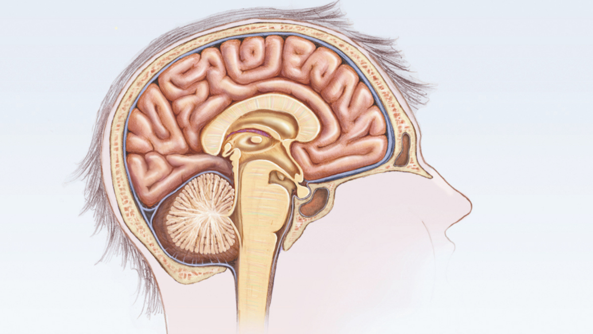 Concussions & ImPACT Testing Guidelines for Athletes