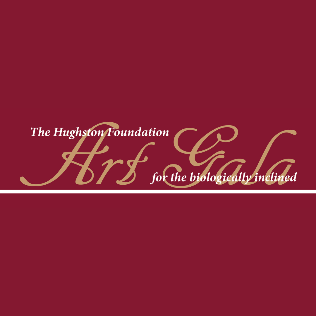 2019 Hughston Foundation Art Gala