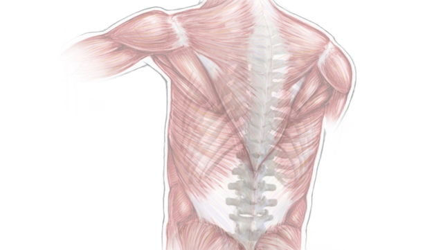 Minimally Invasive Spinal Surgery